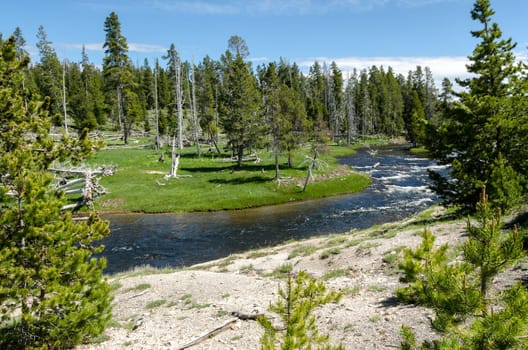 River in Yellowstone National Park in Wyoming