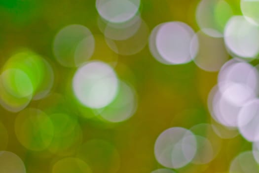 bokeh blurred out of focus background