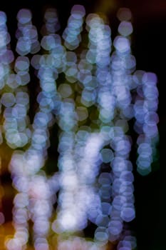 bokeh blurred out of focus background