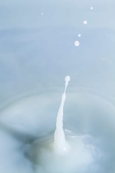 Close view of a droplet of milk hitting a surface of milk.