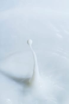 Close view of a droplet of milk hitting a surface of milk.