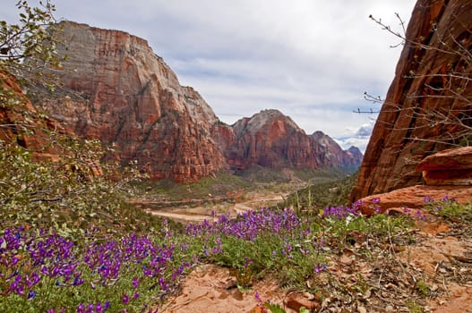 Zion National Park