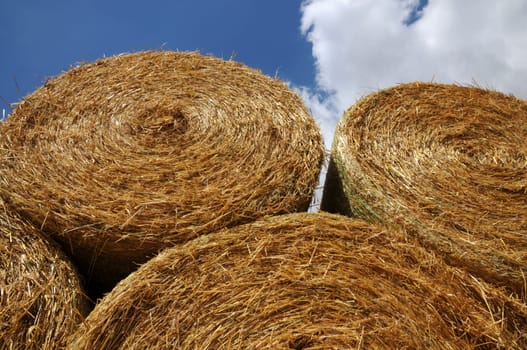 Round bales