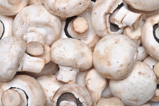 background of fresh whole mushrooms.