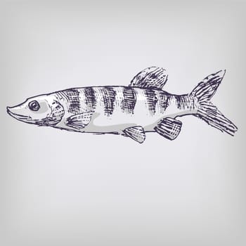 Drawing pike