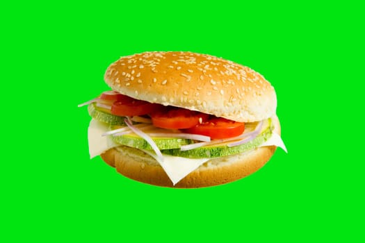 Veggie Burger made with zucchini,tomato,onion and cheese.
