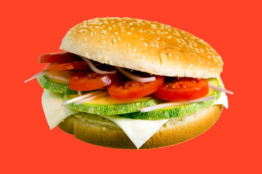 Veggie Burger made with zucchini,tomato,onion and cheese.