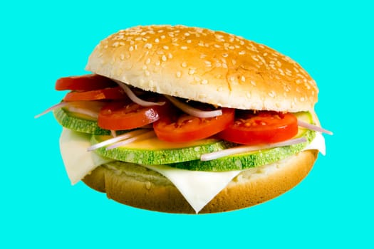 Veggie Burger made with zucchini,tomato,onion and cheese.