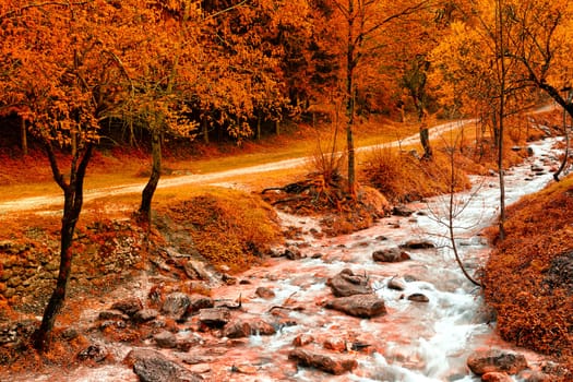 A small river that runs along a narrow streets in the middle of a wood.