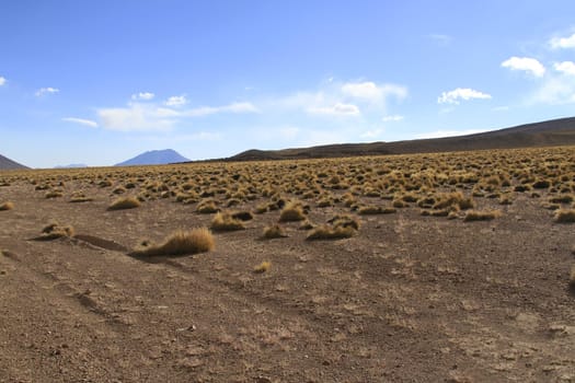 Eduardo Alveroa, Uyuni Bolivia