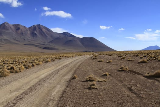 Eduardo Alveroa, Uyuni Bolivia