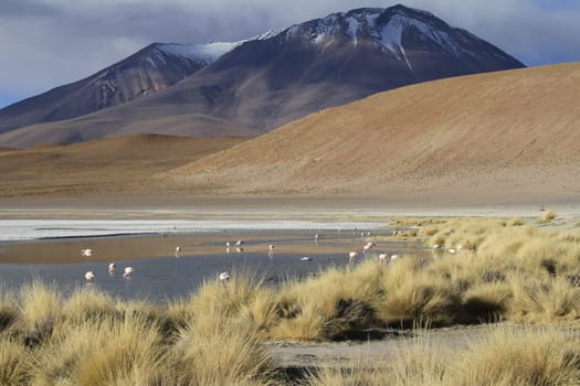 Eduardo Alveroa, Uyuni Bolivia