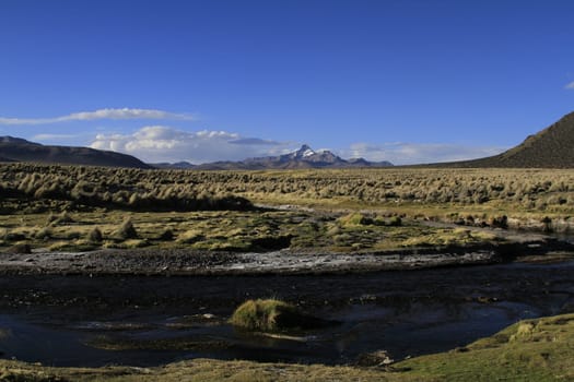 Parque Nacional Sajama