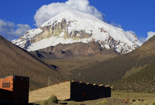 Parque Nacional Sajama