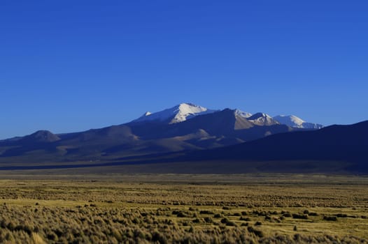 Parque Nacional Sajama