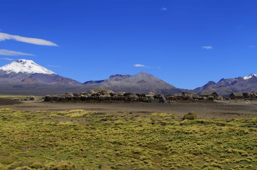 Parque Nacional Sajama