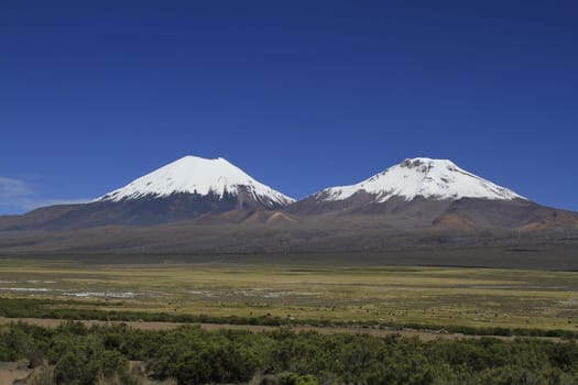 Parque Nacional Sajama