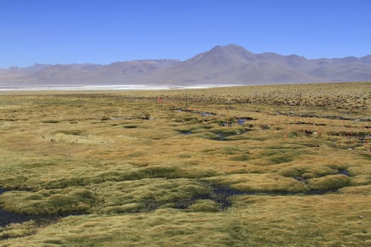 Eduardo Alveroa, Uyuni Bolivia