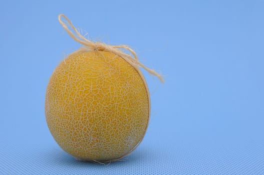 Melon