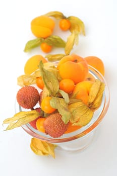 Fruit