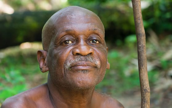 Pygmy Chief