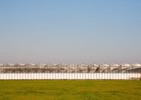 Greenhouse in a green field under a clear blue sky