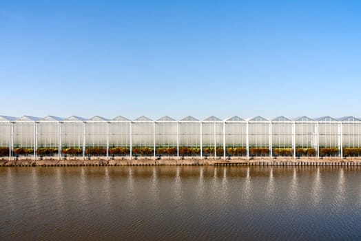 Roof of a greenhouse under a clear blue sky