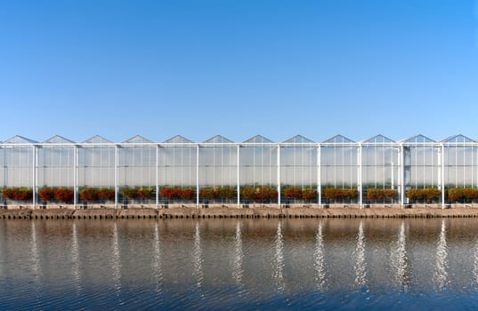 Roof of a greenhouse under a clear blue sky