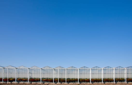 Roof of a greenhouse under a clear blue sky