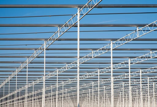 Steel frame of a  green house under construction