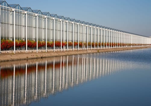 Roof of a greenhouse under a clear blue sky