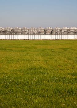 Greenhouse in a green field under a clear blue sky