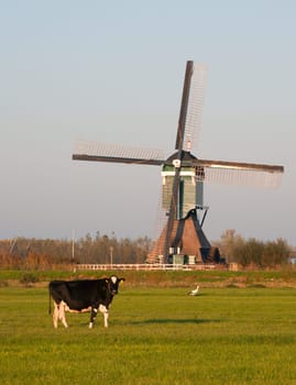 Traditional Dutch windmill with cow and stork in Groot-Ammers, the Netherlands