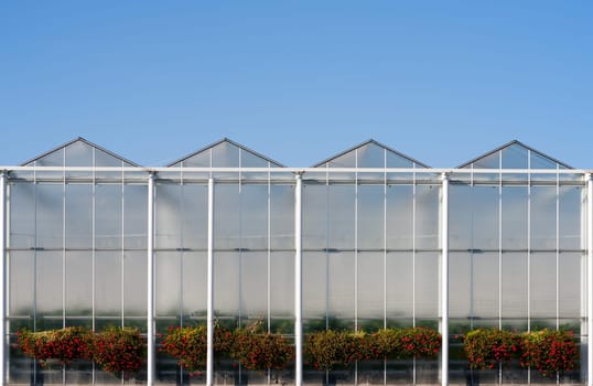 Roof of a greenhouse under a clear blue sky