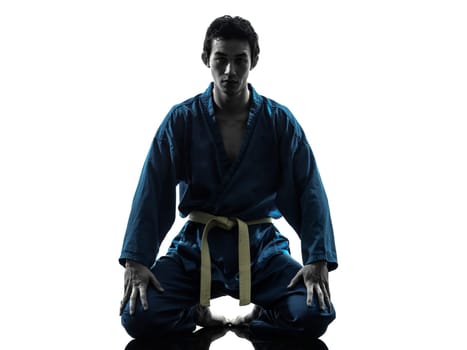 one asian young man exercising martial arts karate vietvodao in silhouette studio isolated on white background