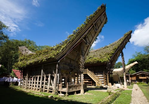 Toraja village with traditional houses in a row, Toraja, Sulawesi, Indonesia