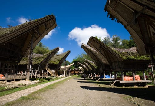 Toraja village with traditional houses in a row, Toraja, Sulawesi, Indonesia