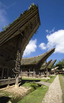 Toraja village with traditional houses in a row, Toraja, Sulawesi, Indonesia