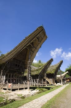 Toraja house roofs in a row, Sulawesi, Indonesia