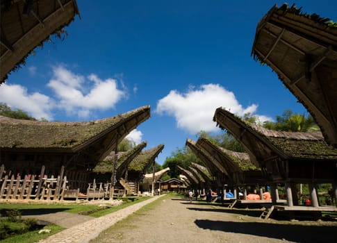 Toraja village with traditional houses in a row, Toraja, Sulawesi, Indonesia