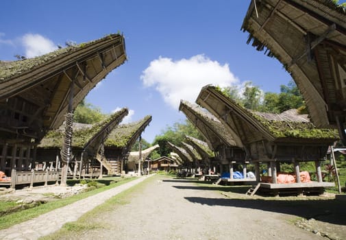 Traditional Toraja village with tongkonan houses, Sulawesi, Indonesia