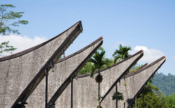 Toraja house roofs in a row, Sulawesi, Indonesia