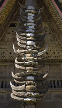 Buffalo horns stuck on the front of a traditional Toraja house