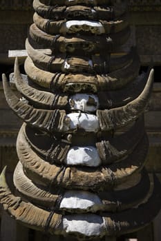 Buffalo horns stuck on the front of a traditional Toraja house