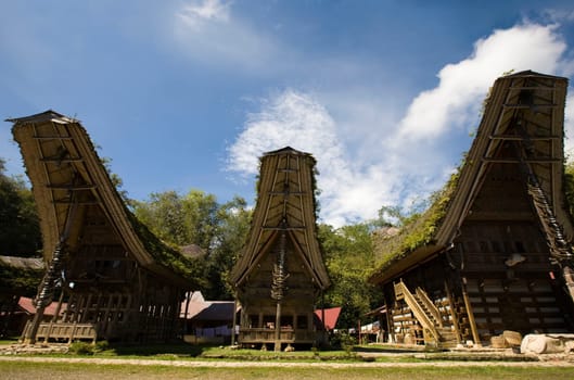 Toraja village with traditional houses in a row, Toraja, Sulawesi, Indonesia