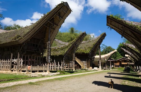 Toraja village with traditional houses in a row, Toraja, Sulawesi, Indonesia