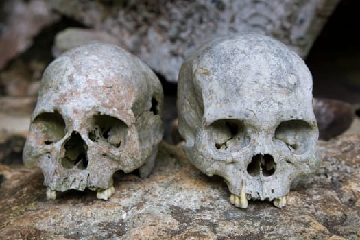 Human skulls in the Tana Toraja area in Sulawesi
