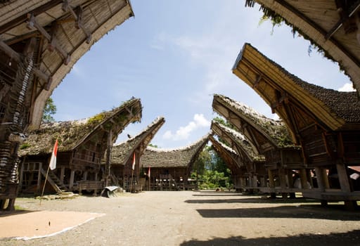 Toraja village with traditional houses in a row, Toraja, Sulawesi, Indonesia