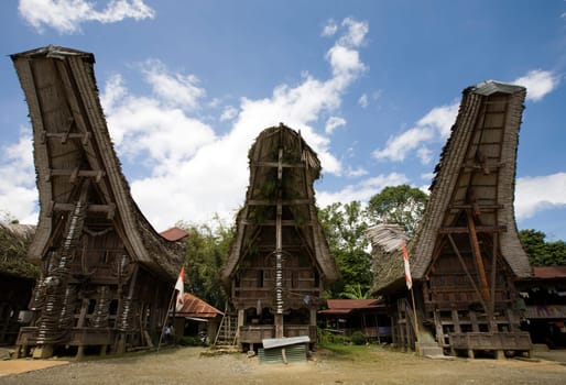 Toraja village with traditional houses in a row, Toraja, Sulawesi, Indonesia