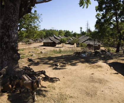 Traditional village in Lombok, Indonesia